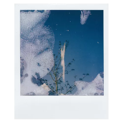 paternidad, diálogo, cuidado, escritura, fuego, escucha, comunidad, vulnerabilidad, ternura, Juan M. Fernández Chico