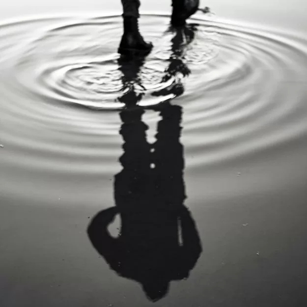 El blode de Juan M. Fernández Chico